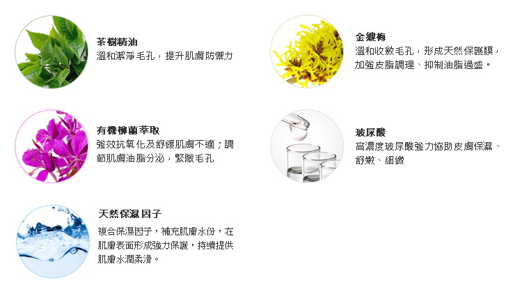 teatree茶樹凍膜內含成分圖示:茶樹精油、有機柳蘭萃取、天然保濕因子、金縷梅和高保濕玻尿酸 teatree茶樹凍膜內含成分圖示:茶樹精油、有機柳蘭萃取、天然保濕因子、金縷梅和高保濕玻尿酸