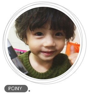 pony pony